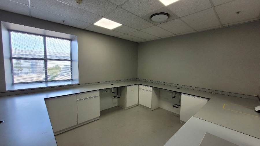 To Let Commercial Property for Rent in Montague Gardens Western Cape